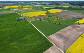 Wiosna 2024 12