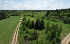 Wiosna 2024 14