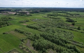 Wiosna 2024 15