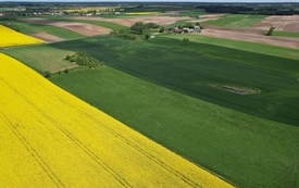 Wiosna 2024 21