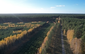 Galeria Podstrony Gmina z lotu ptaka - JESIEŃ 53