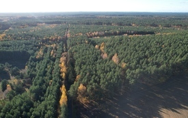 Galeria Podstrony Gmina z lotu ptaka - JESIEŃ 64