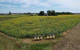 Galeria Podstrony Gmina z lotu ptaka - LATO 70