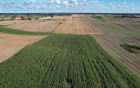 Galeria Podstrony Gmina z lotu ptaka - LATO 74