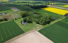 Wiosna 2024 32