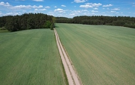 Wiosna 2024 37