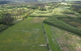 Wiosna 2024 41