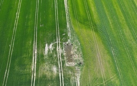 Wiosna 2024 44