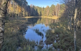 Galeria Podstrony Gmina z lotu ptaka - JESIEŃ 74