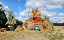 Sołectwo Wełpin - witacz