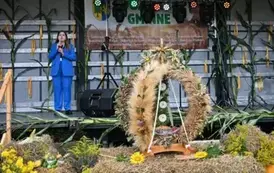 DSC_0533