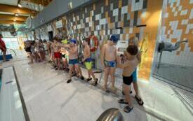 IMG-20251219-WA0010