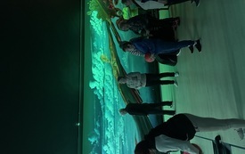 Bowling Senior 50+ - 3 zdj..jpeg