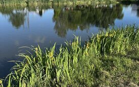 IMG_0803