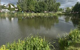 IMG_0881