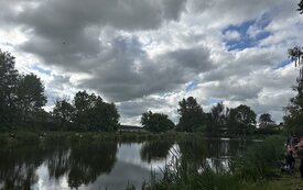 IMG_0884