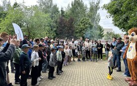 IMG_0917