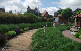 Strefa edukacyjno-sensoryczna
