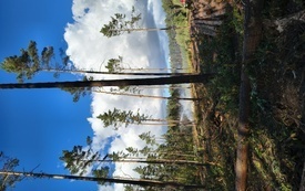 IMG_20260922_160023225_HDR