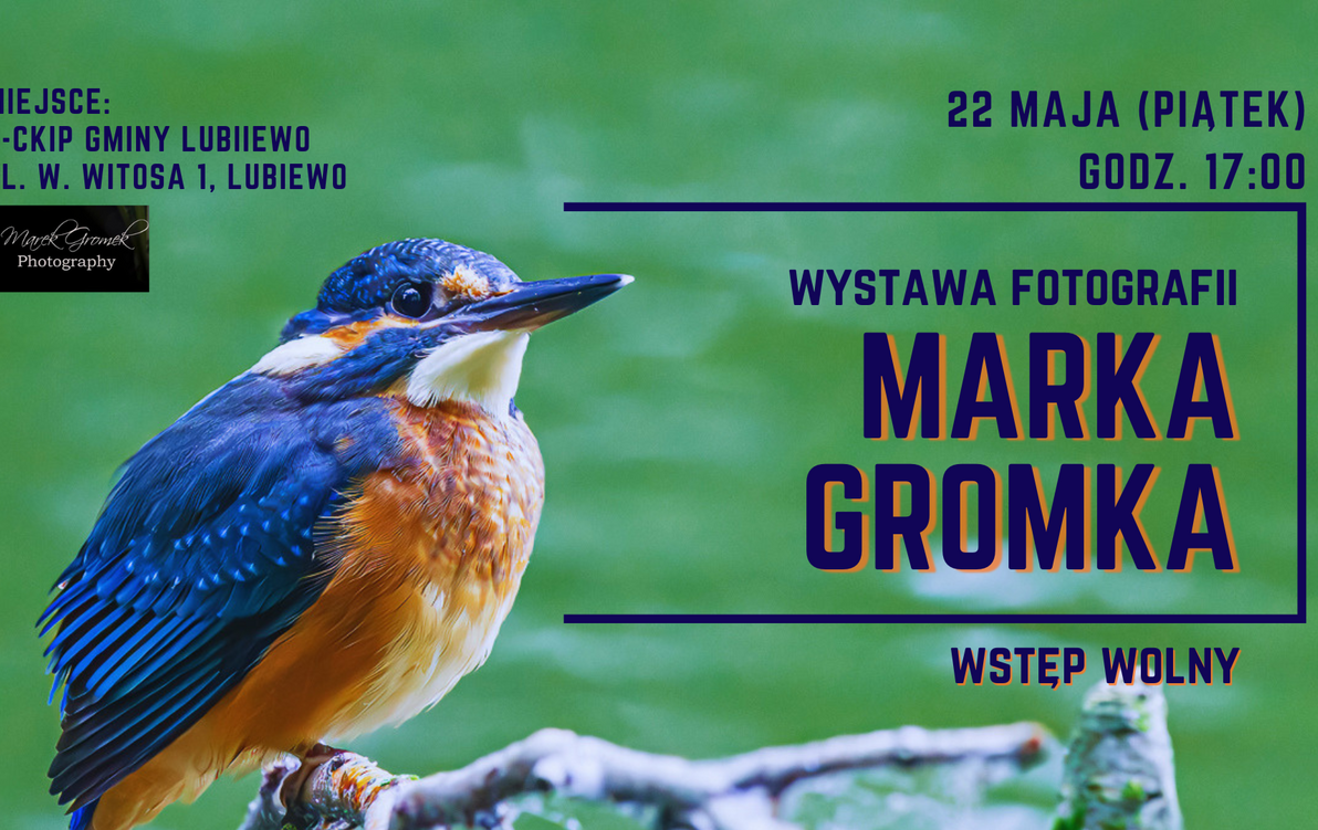 Zdjęcie do WYSTAWA FOTOGRAFII MARKA GROMKA