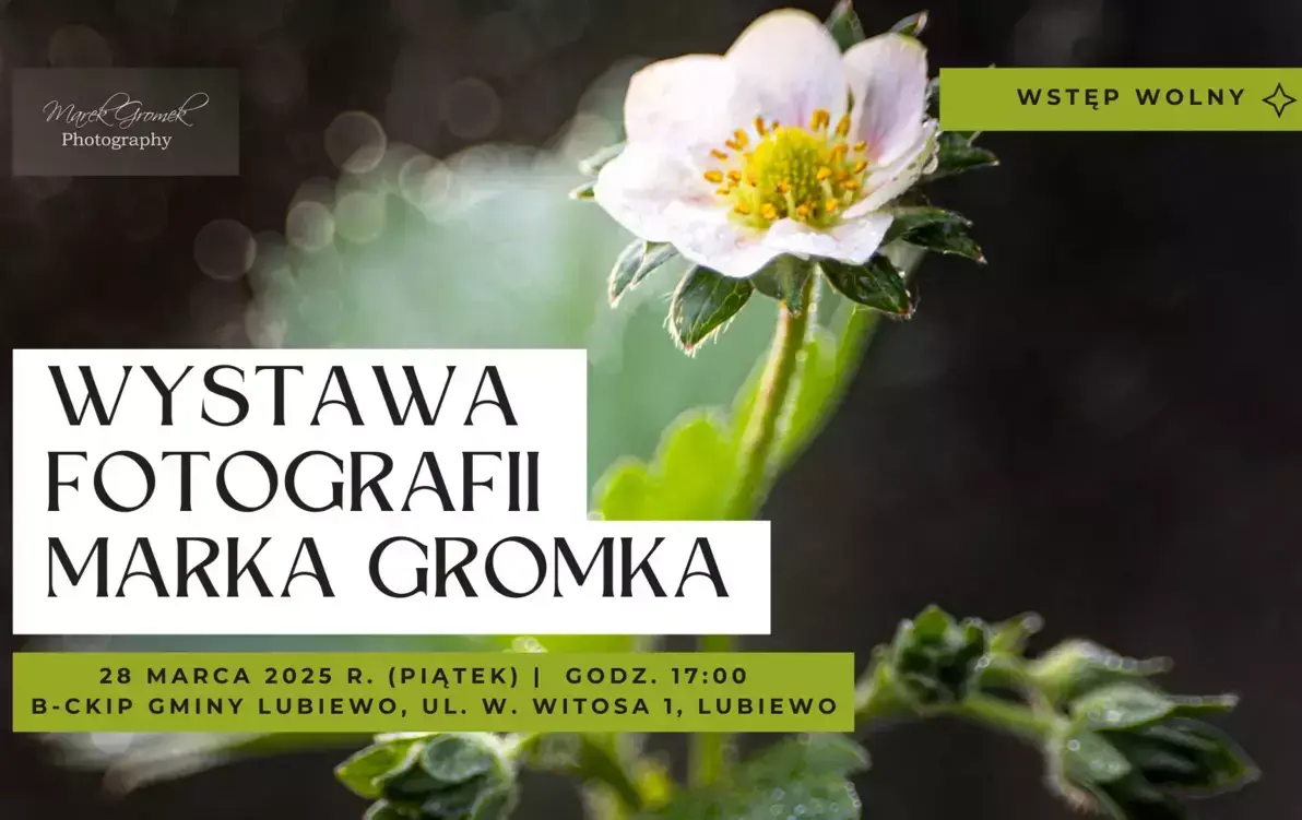 Zdjęcie do Wystawa fotografii Marka Gromka