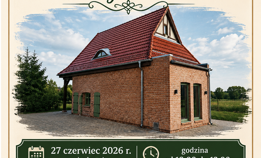 grafika