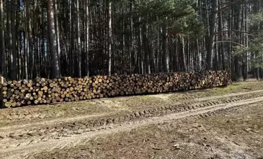 Zdjęcie do W&oacute;jt Gminy Lubiewo zaprasza do składania ofert pisemnych na zakup drewna opałowego 
