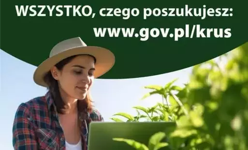 plakat krus